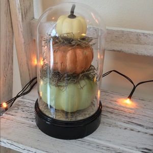 Bundle of trio of pumpkin cloche and pumpkin sign.